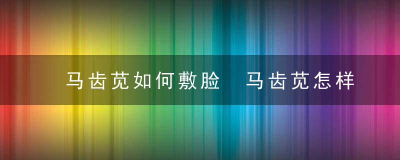 马齿苋如何敷脸 马齿苋怎样敷脸比较好